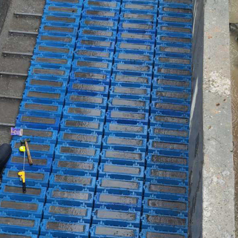 反向反（fǎn）硝化濾池 (18)